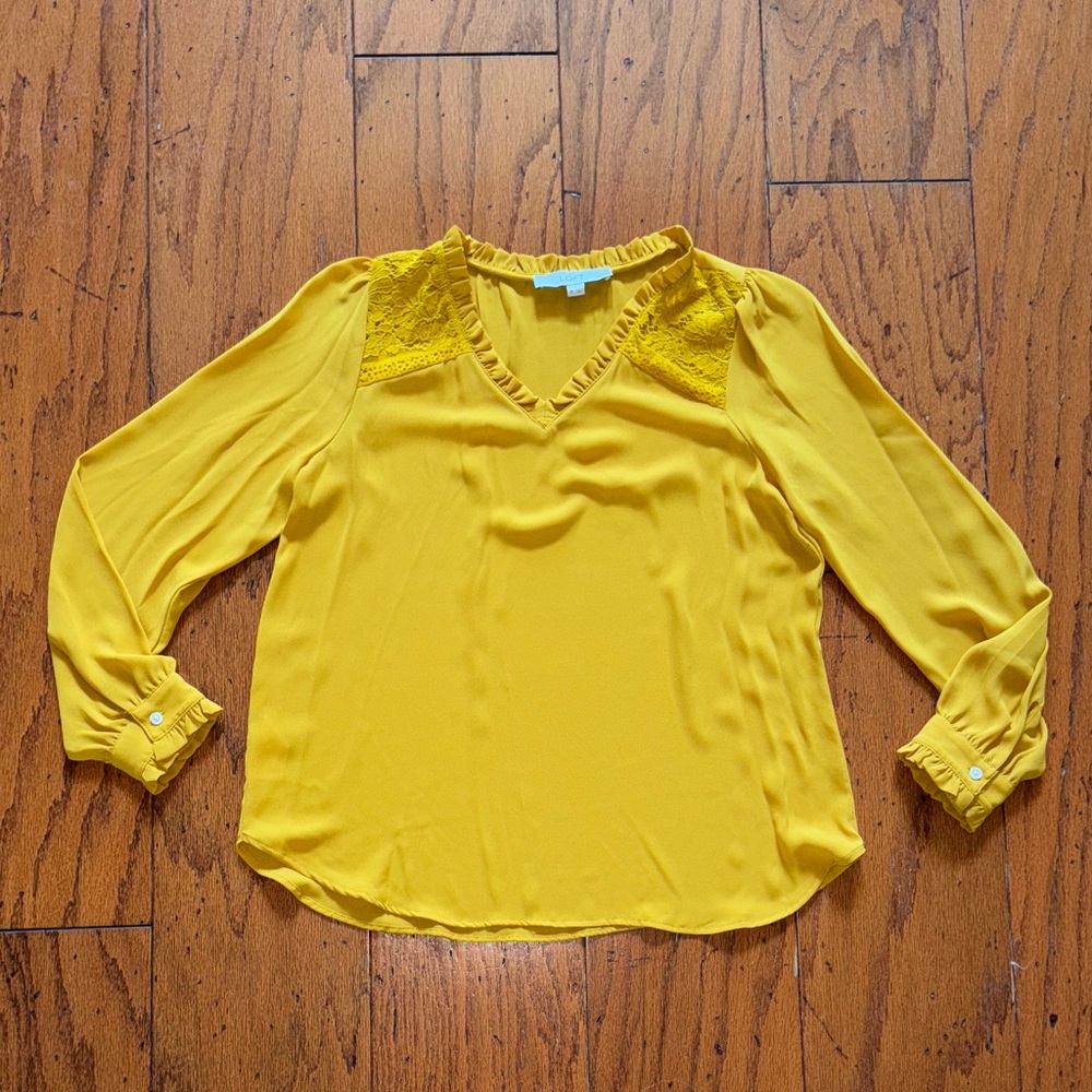Never worn, beautiful, feminine PS Loft blouse